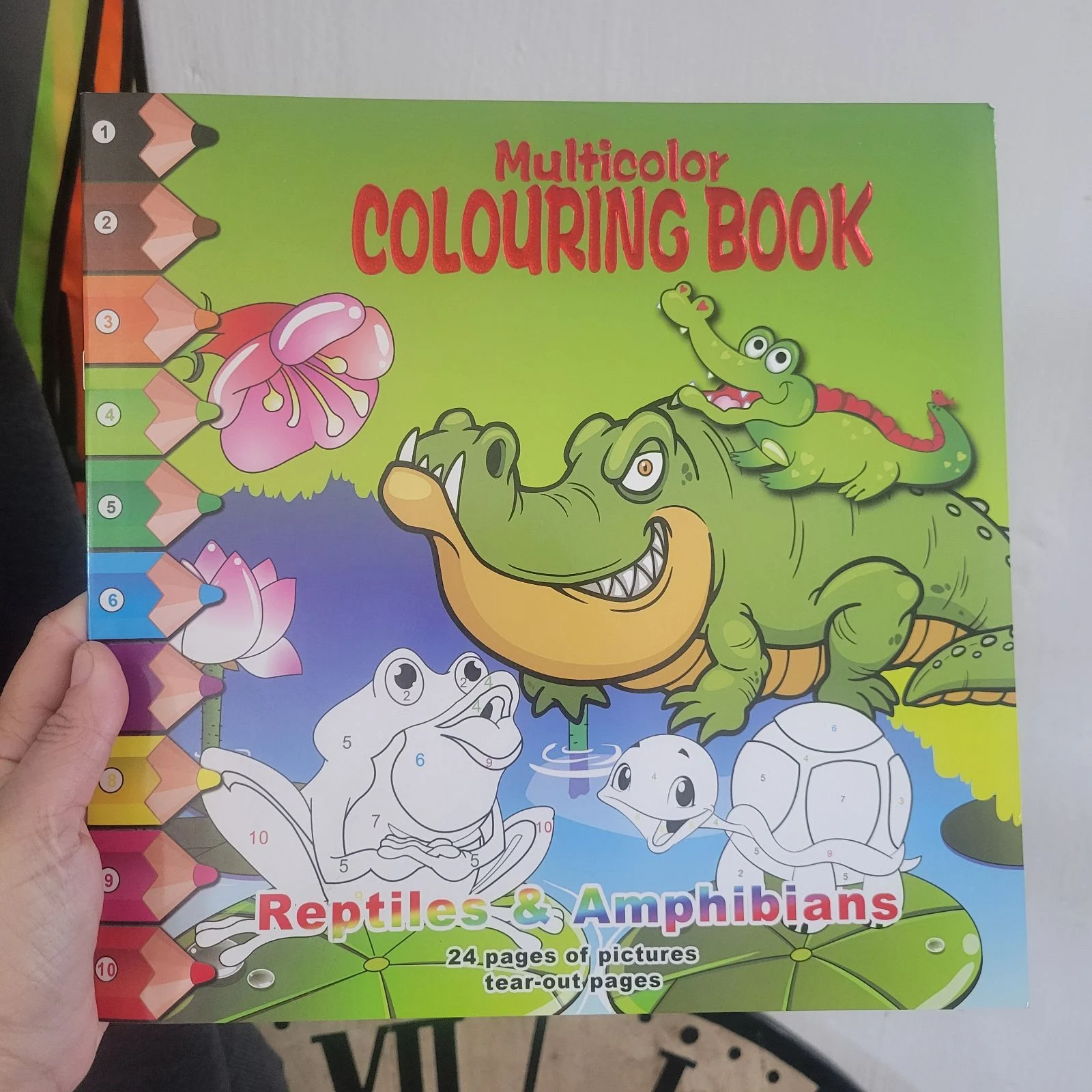 Reptile & Amphibian Colouring Book
