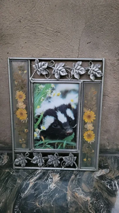 Metal Pressed Dried Flower Picture Frame