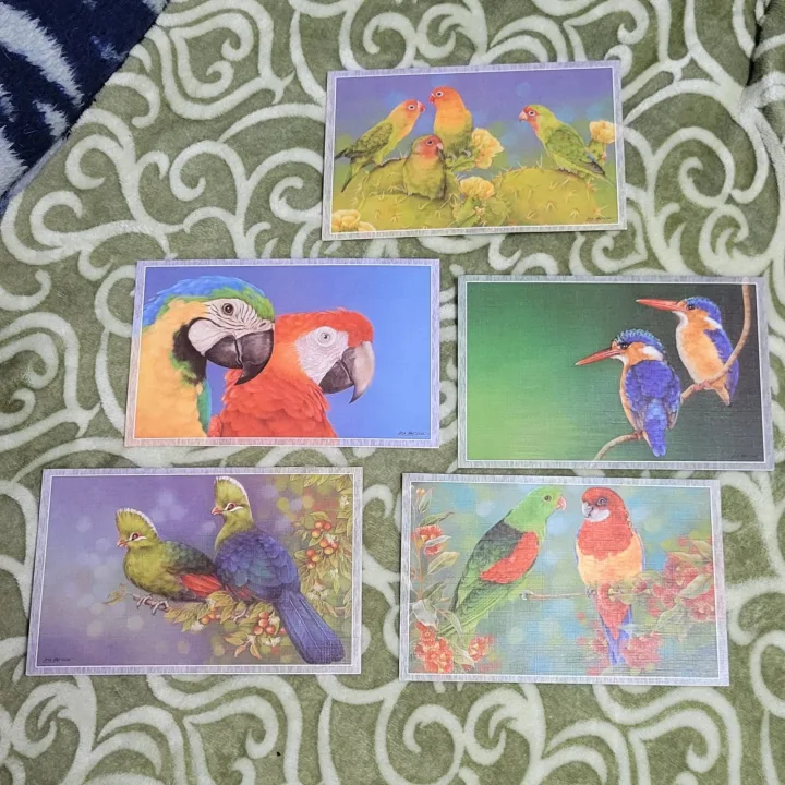 "Birds Of Colour" X 5 Writing Cards