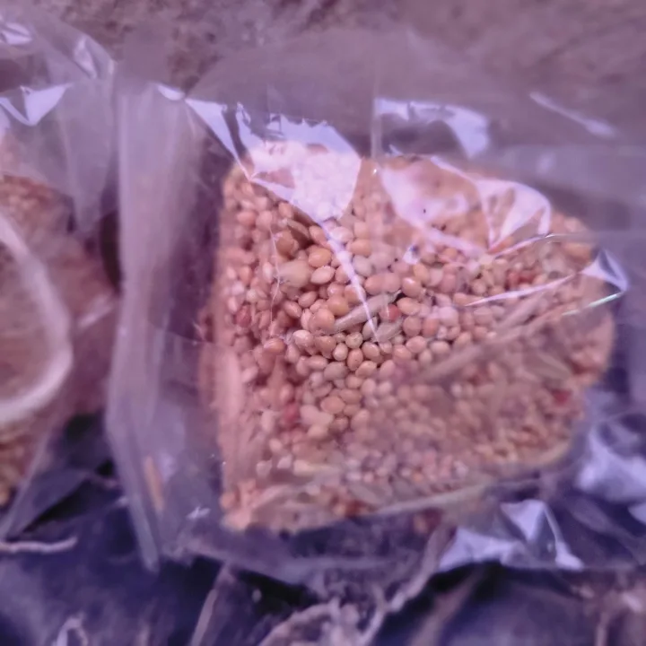 3 X Hanging Bird Seed Bells