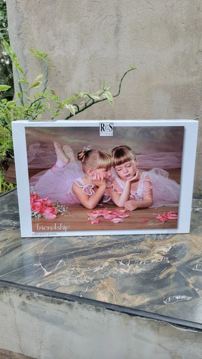 Friendship Puzzle
