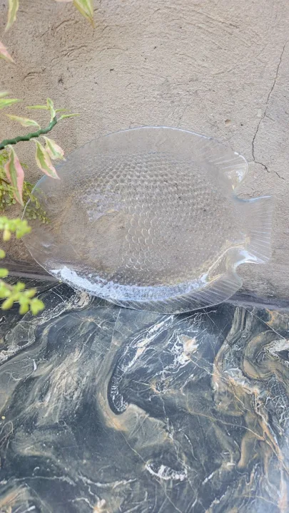 Vintage Glass Fish Platter