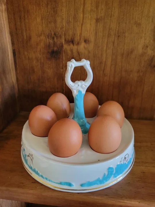Vintage Collectible Porcelain Egg Holder