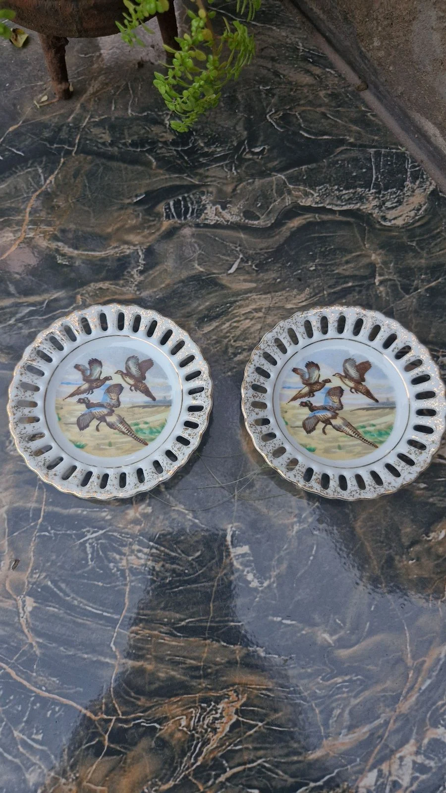 2 Small Display Plates With Pheasants