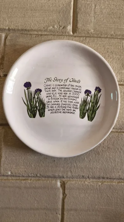 Story Of Chives
