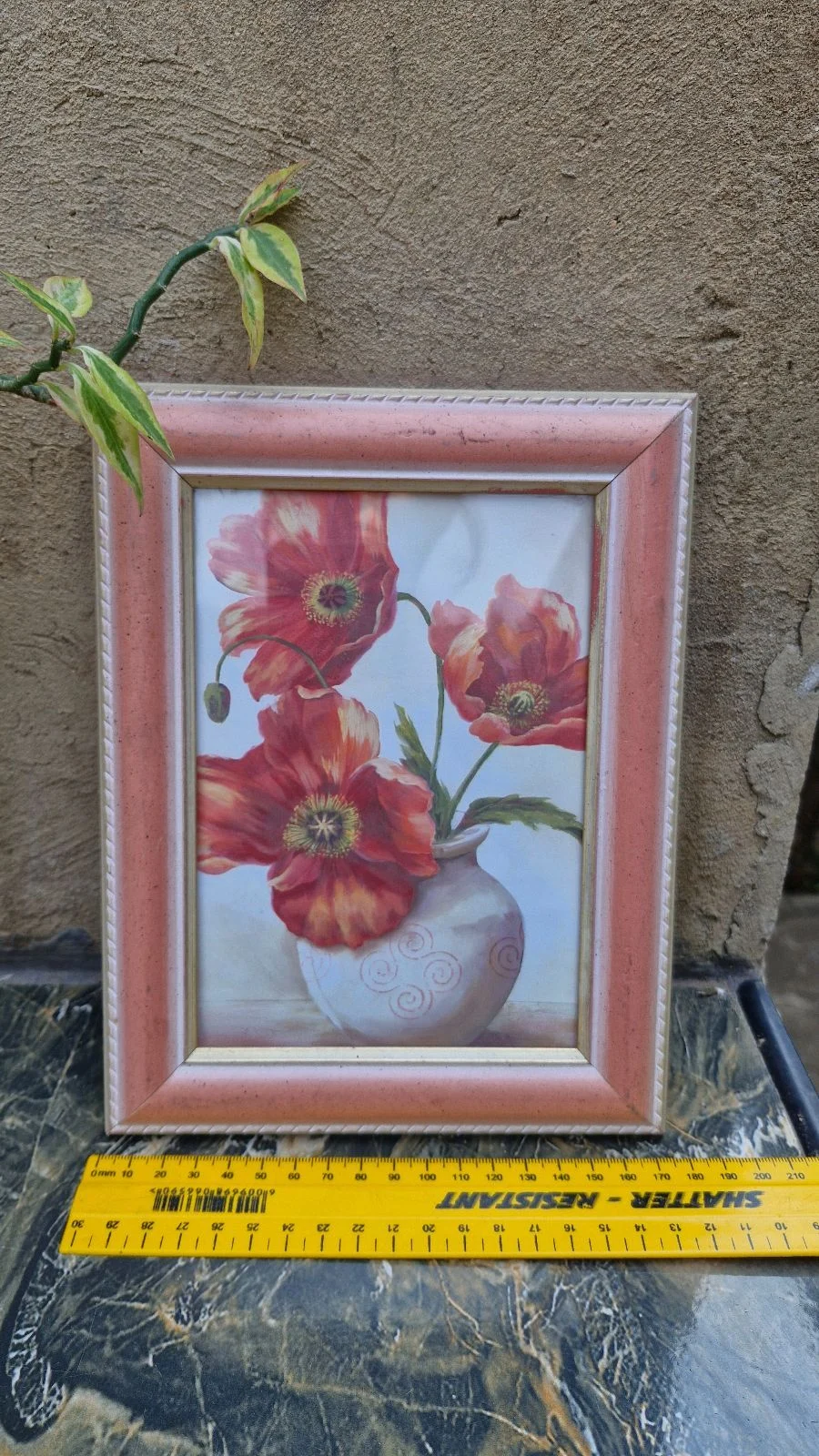 Shades Of Peach And Cerise Picture Frame With Poppies